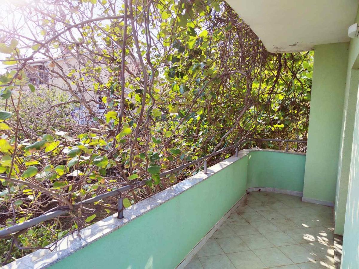 Green House Cavle Exterior photo